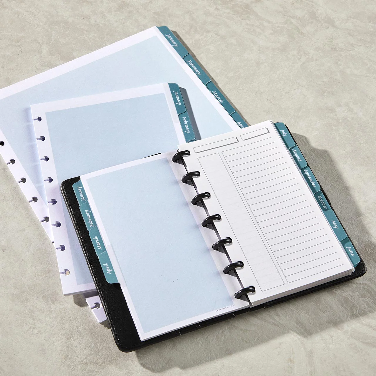 Circa Monthly Tab Dividers (set of 12) - Image 3