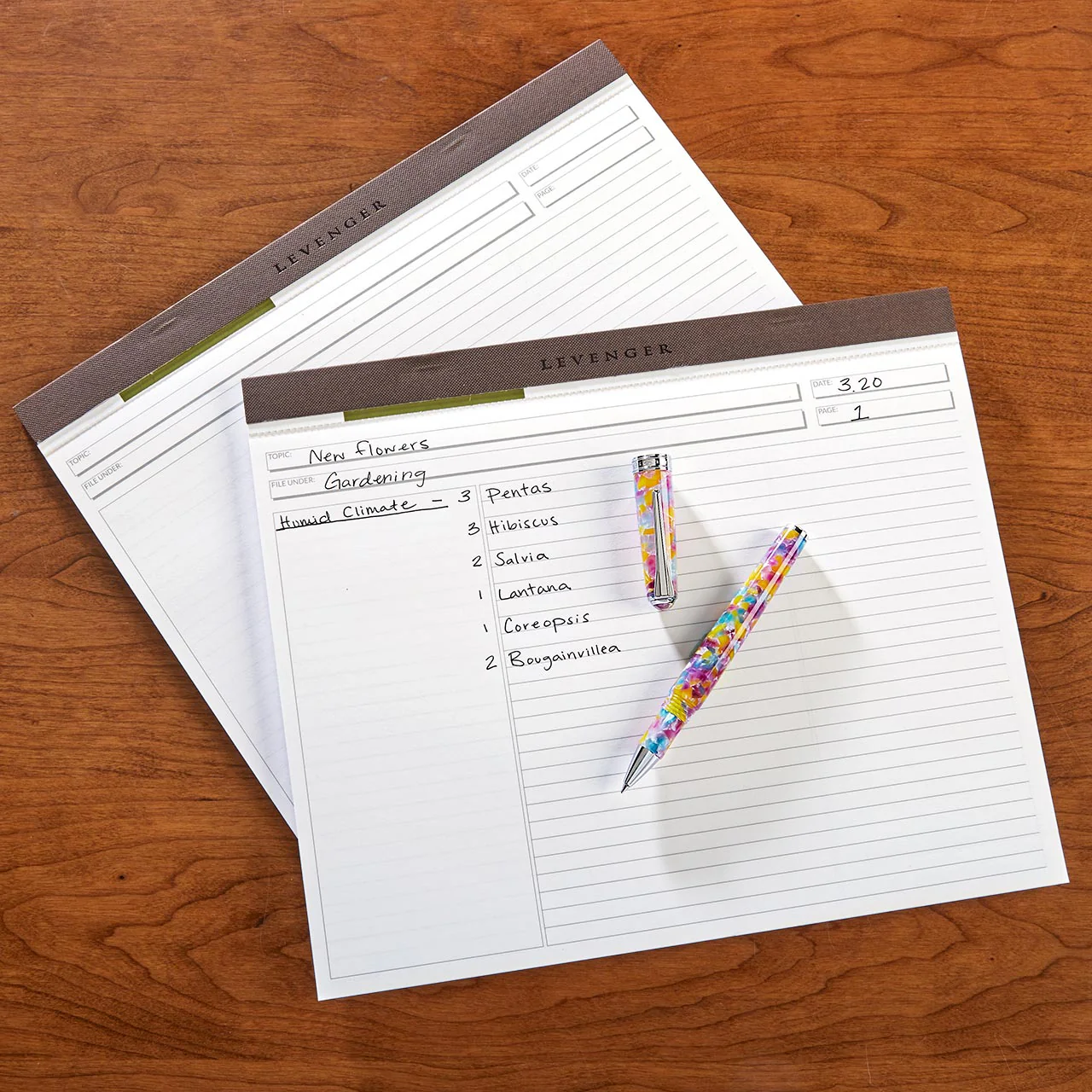 Freeleaf Horizontal Annotation Ruled Pads (set of 2) - Image 2