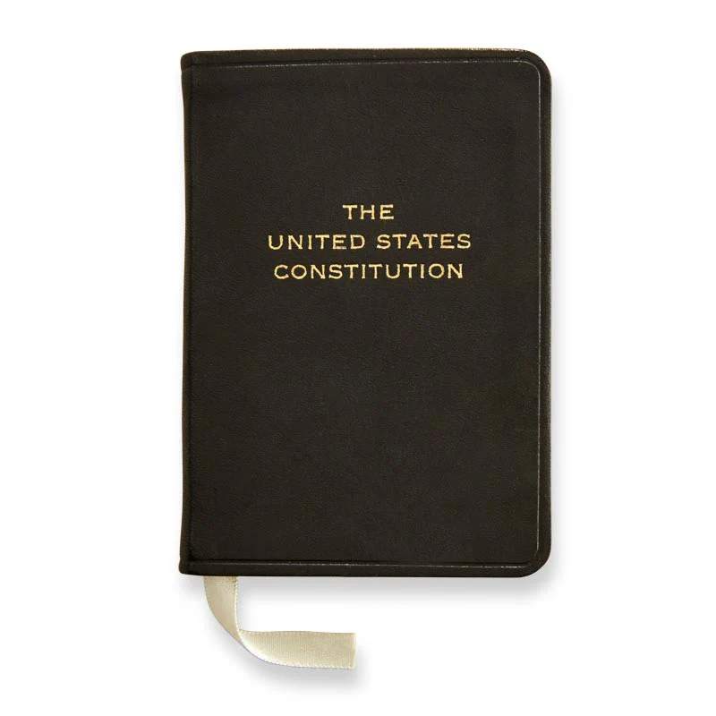 Mini Constitution - Image 4
