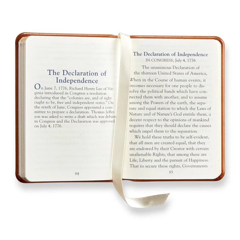 Mini Constitution - Image 6