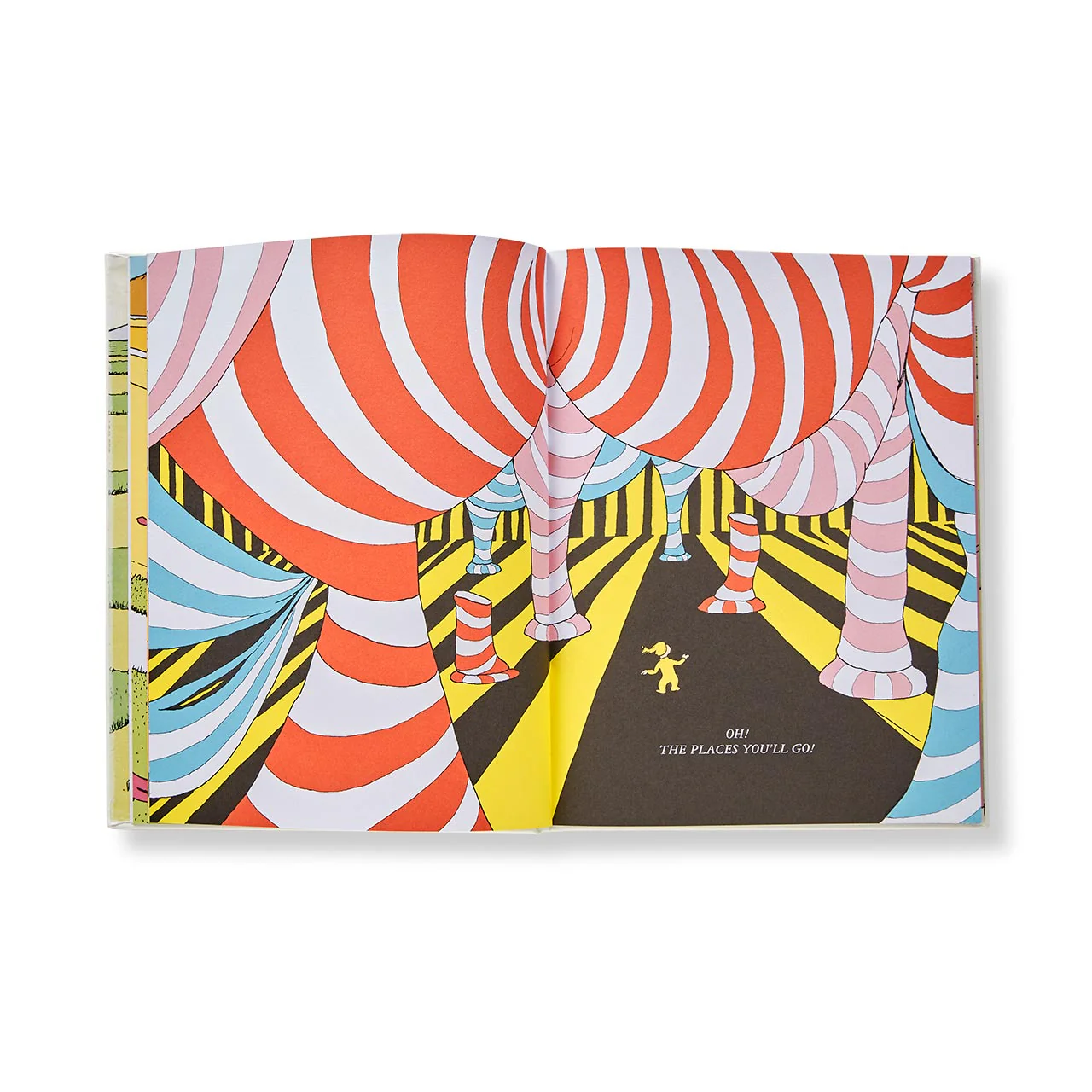 Oh, The Places You'll Go - Image 4