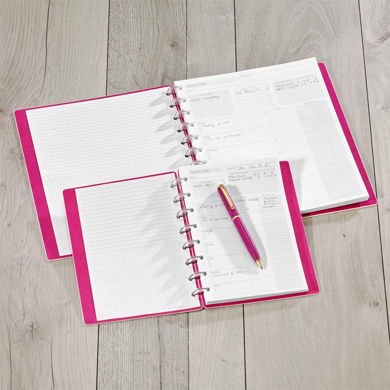 Circa Special Request Weekly Goals Refill (100 sheets) - Image 3