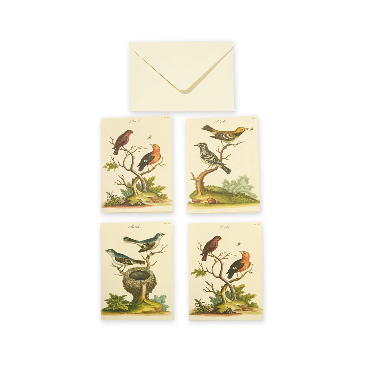Study of Birds Stationery Set - Image 3