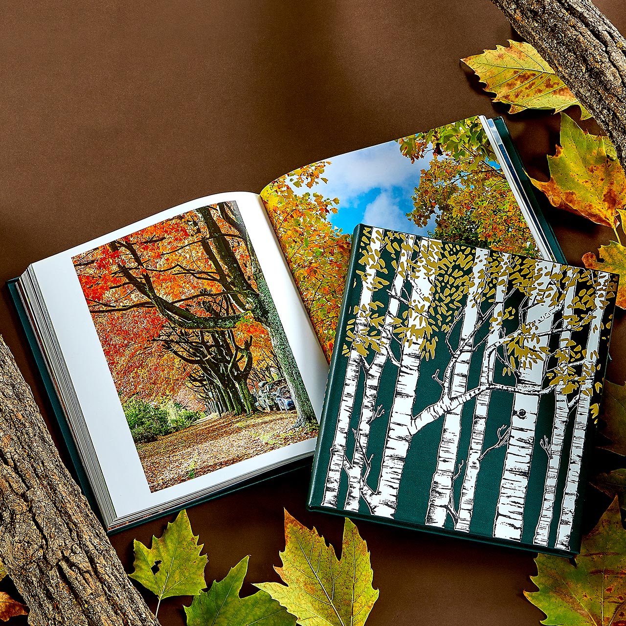 The Hidden Life of Trees Leather Bound Edition - Image 2