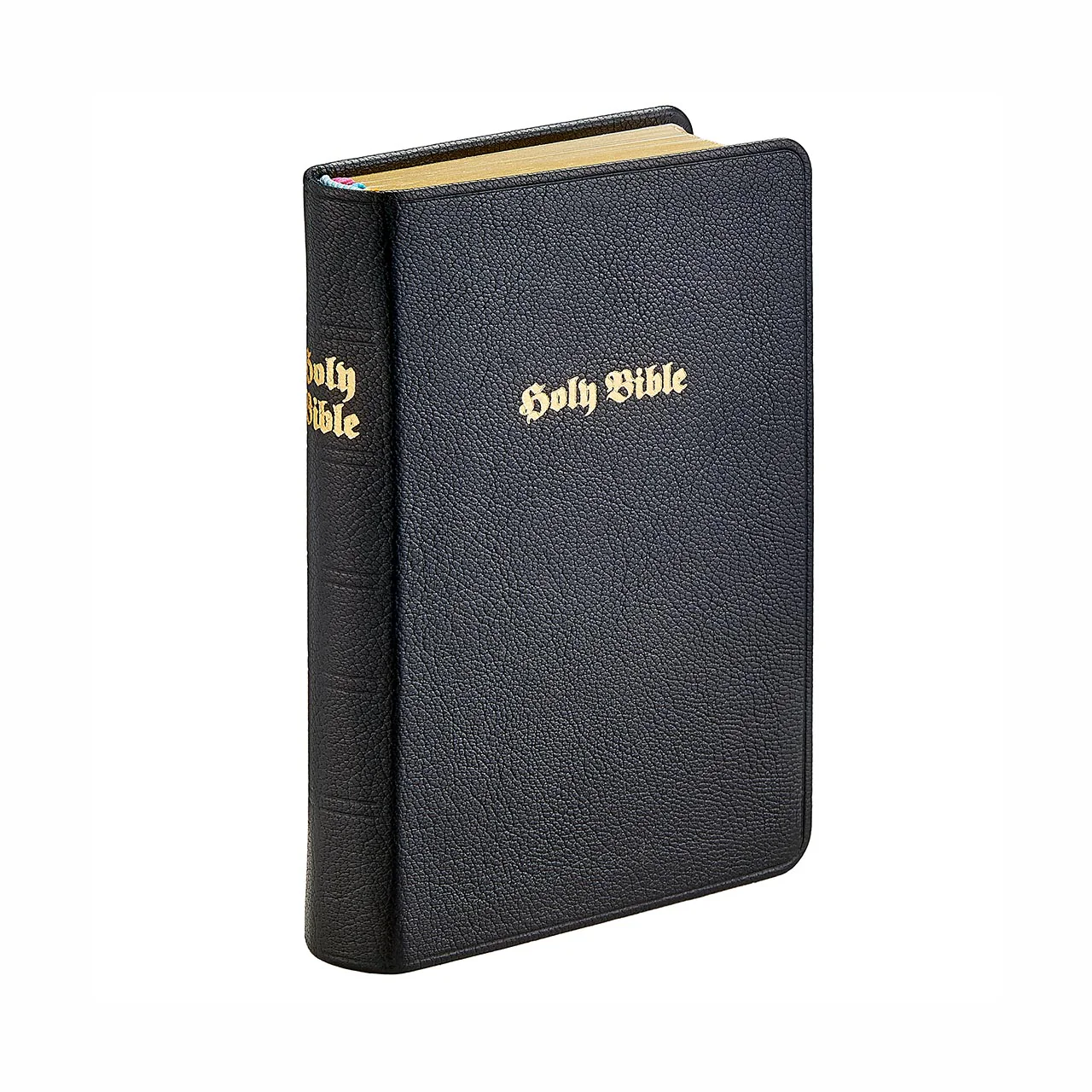 The Holy Bible