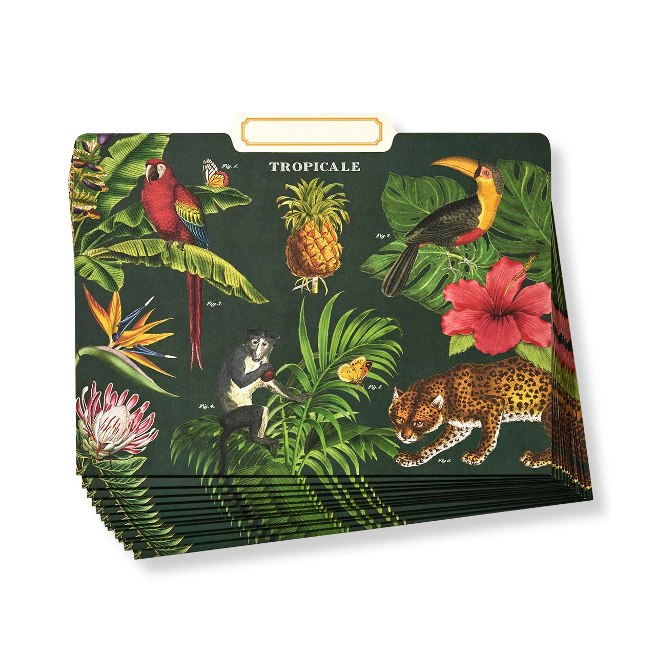 Tropicale File Folders (set of 12)