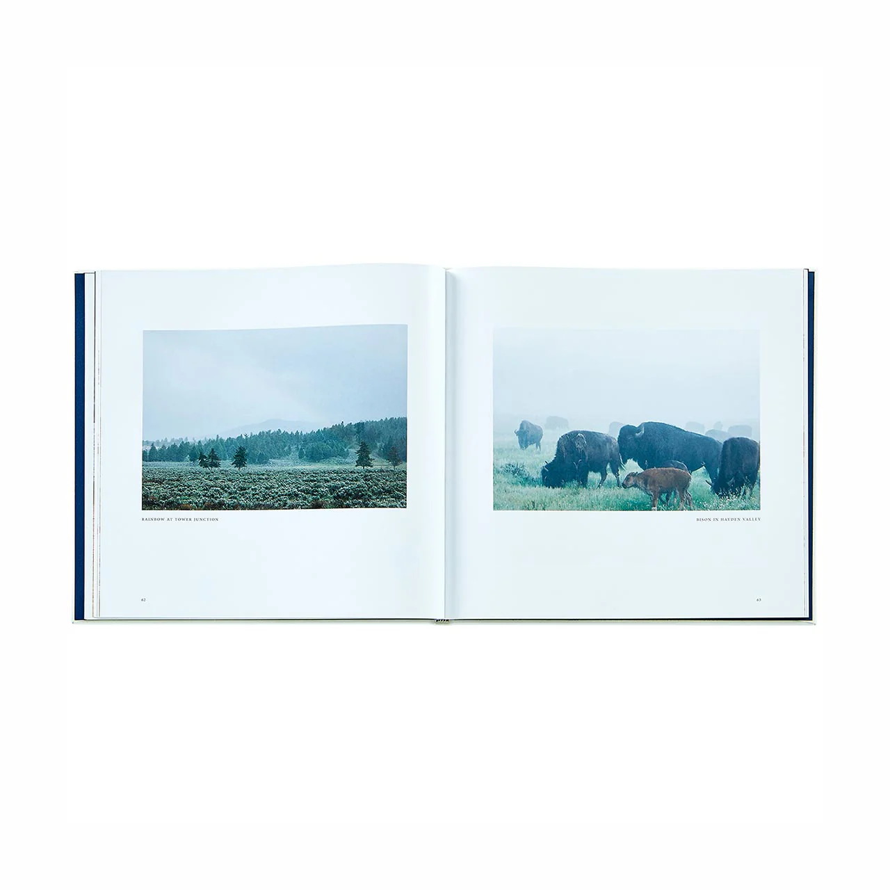 Yellowstone: A Land of Wild and Wonder Leather Bound Edition - Image 4
