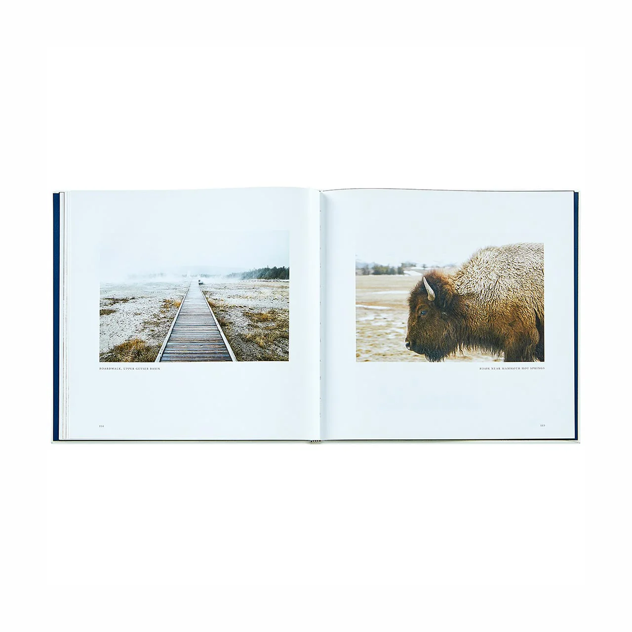 Yellowstone: A Land of Wild and Wonder Leather Bound Edition - Image 6